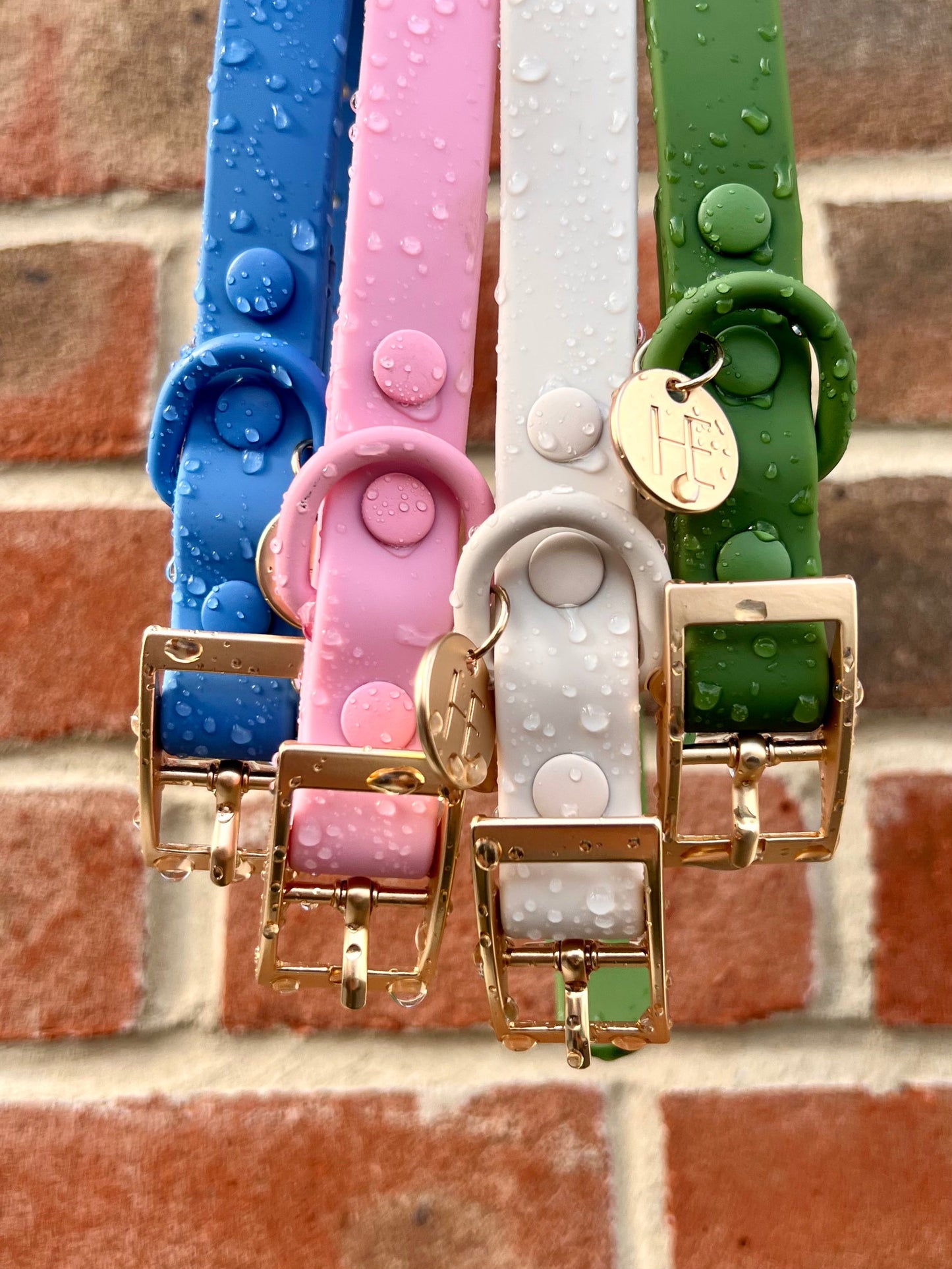Oatmeal Latte 'All Weather' Dog Lead