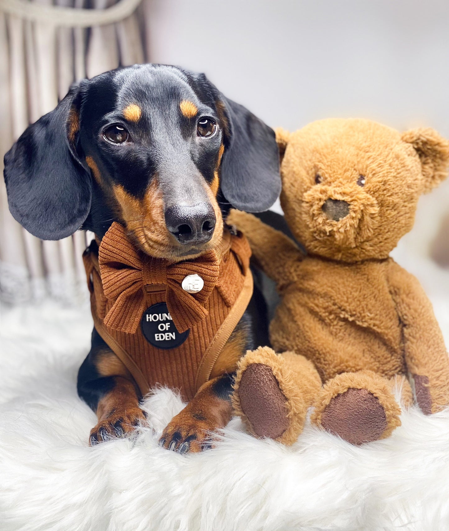 Choca Mocha - Brown Corduroy Harness