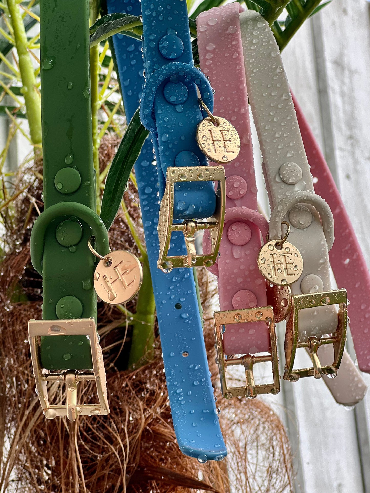Oatmeal Latte 'All Weather' Dog Lead