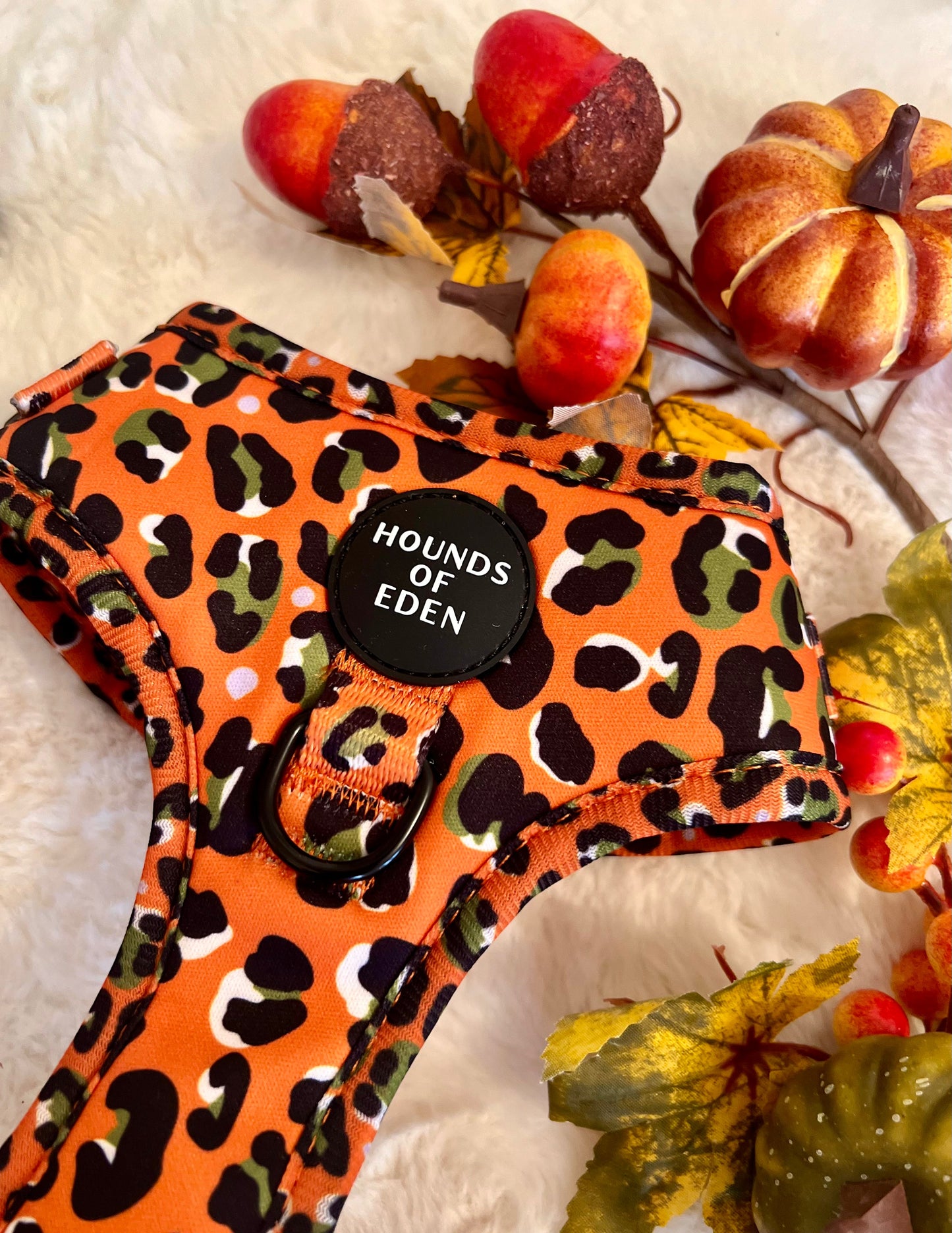 Orange Leopard Design Dog Bow Tie