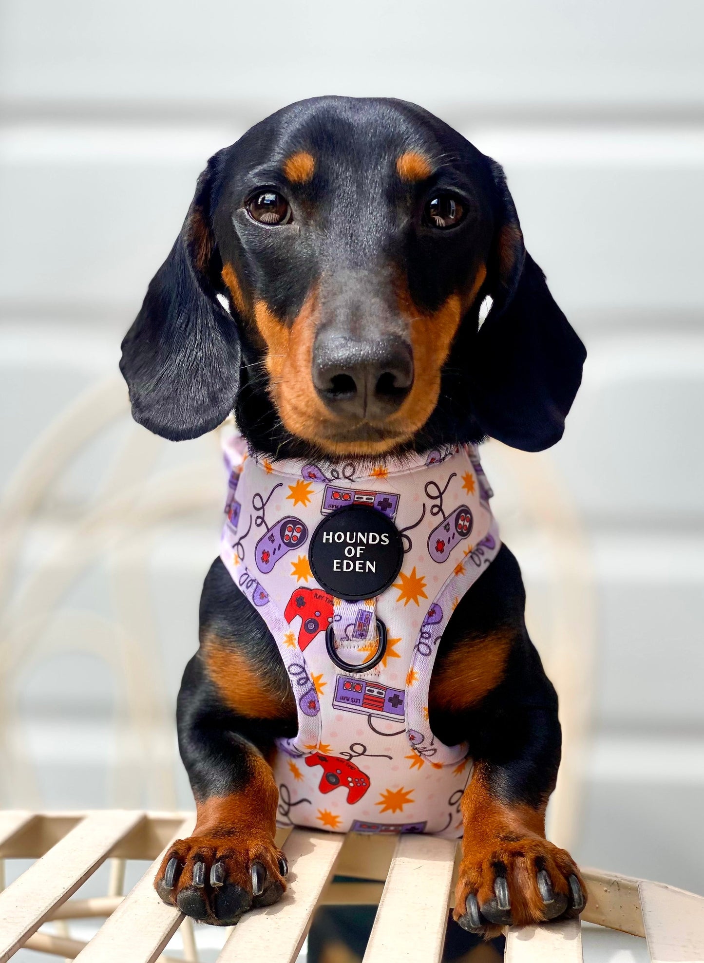 Nintendawg Design Dog Collar
