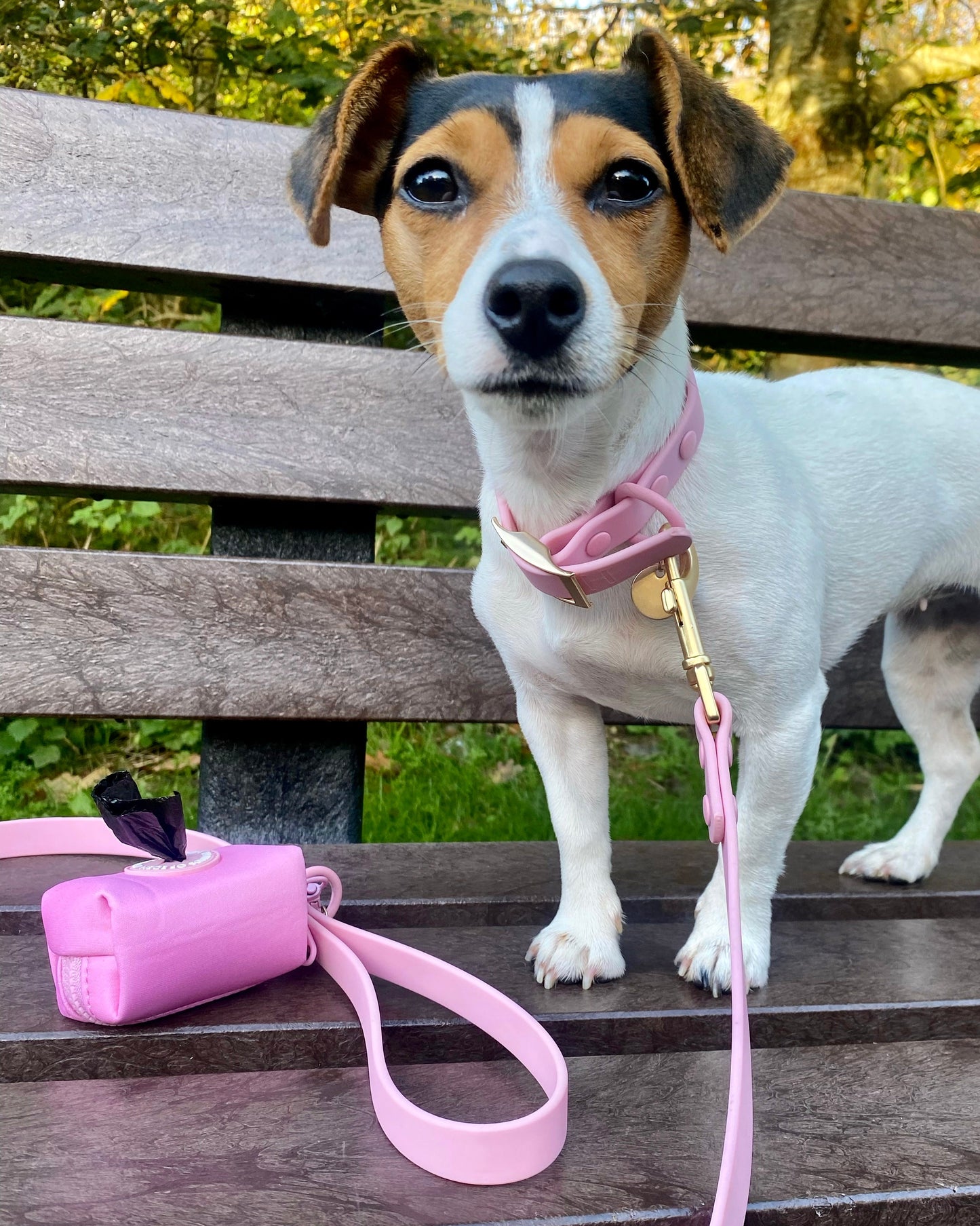 Candy floss Pink 'All Weather' Dog Collar