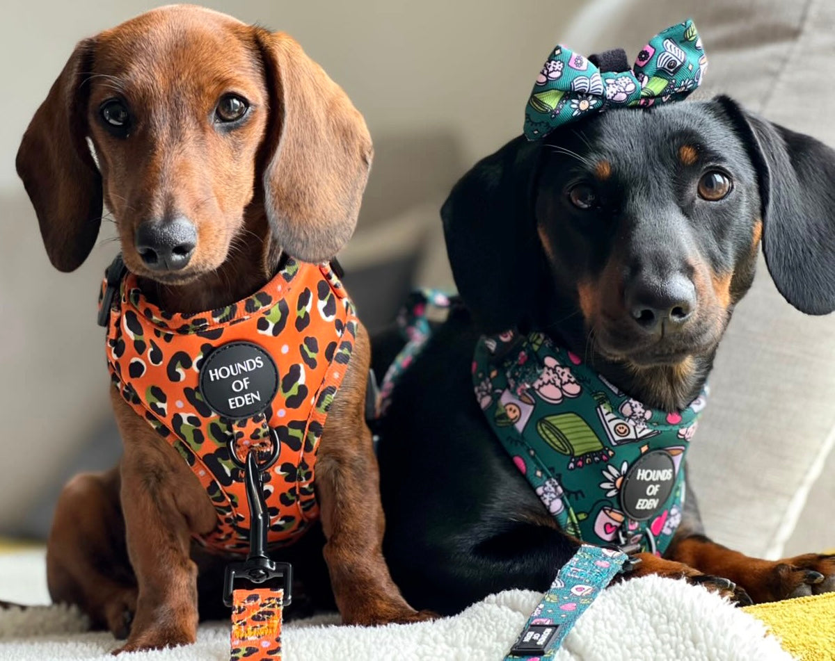 Orange Leopard Design Dog Bow Tie