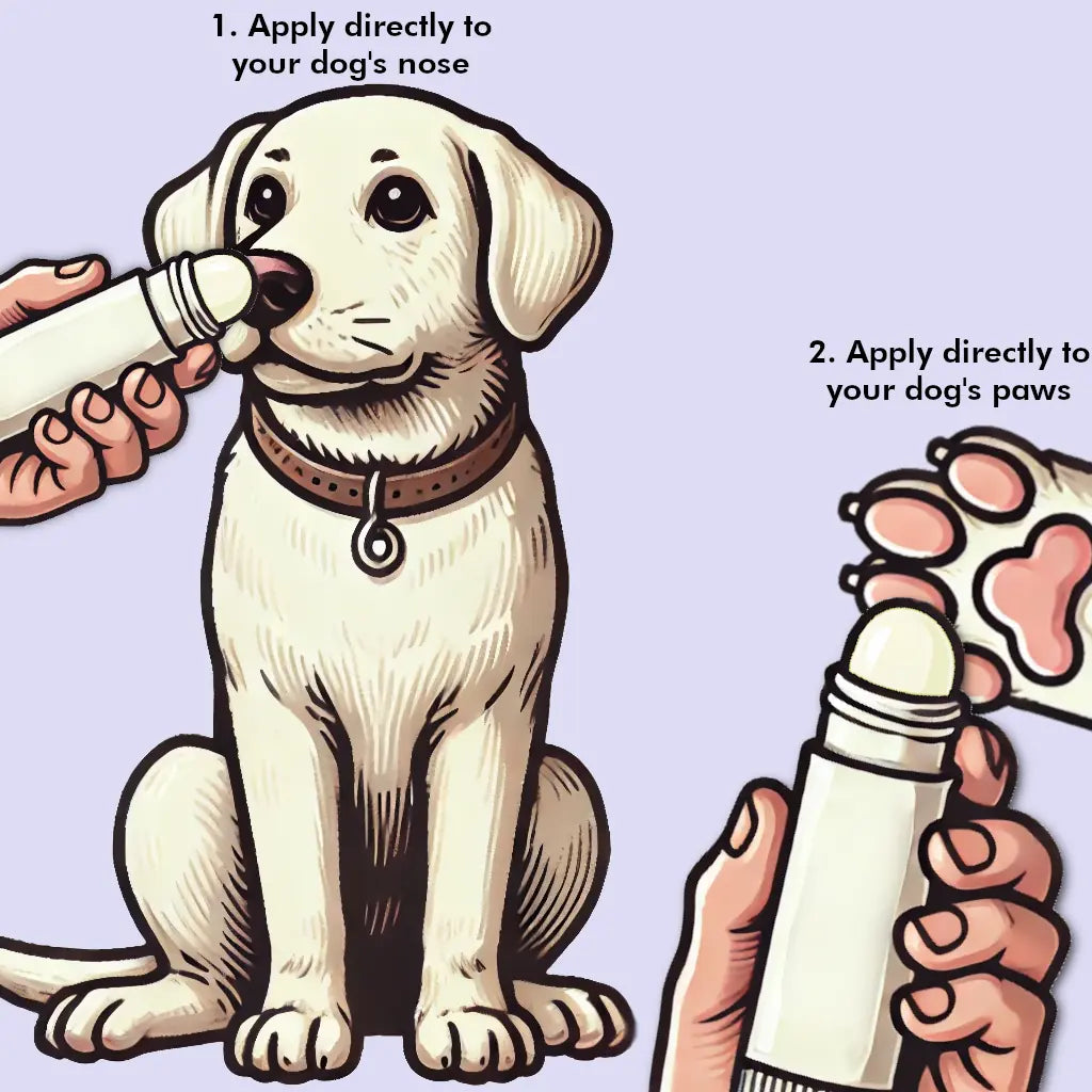 Paw & Nose Balm Stick for Dogs - 100% Natural Moisturiser for Paws | Like a Chap Stick for dogs
