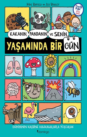Kakanın, Pandanın und Senin Yaşamında Bir Gün