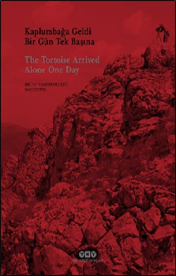 Kaplumbağa Geldi Bir Gün Tek Başına – Die Schildkröte kam eines Tages allein an