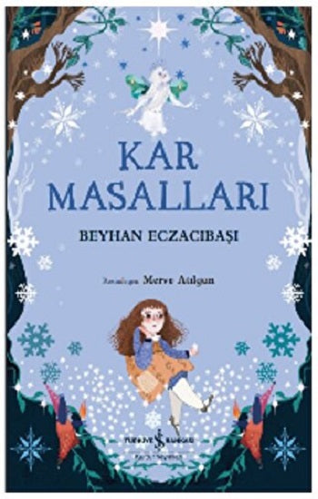 Kar Masalları