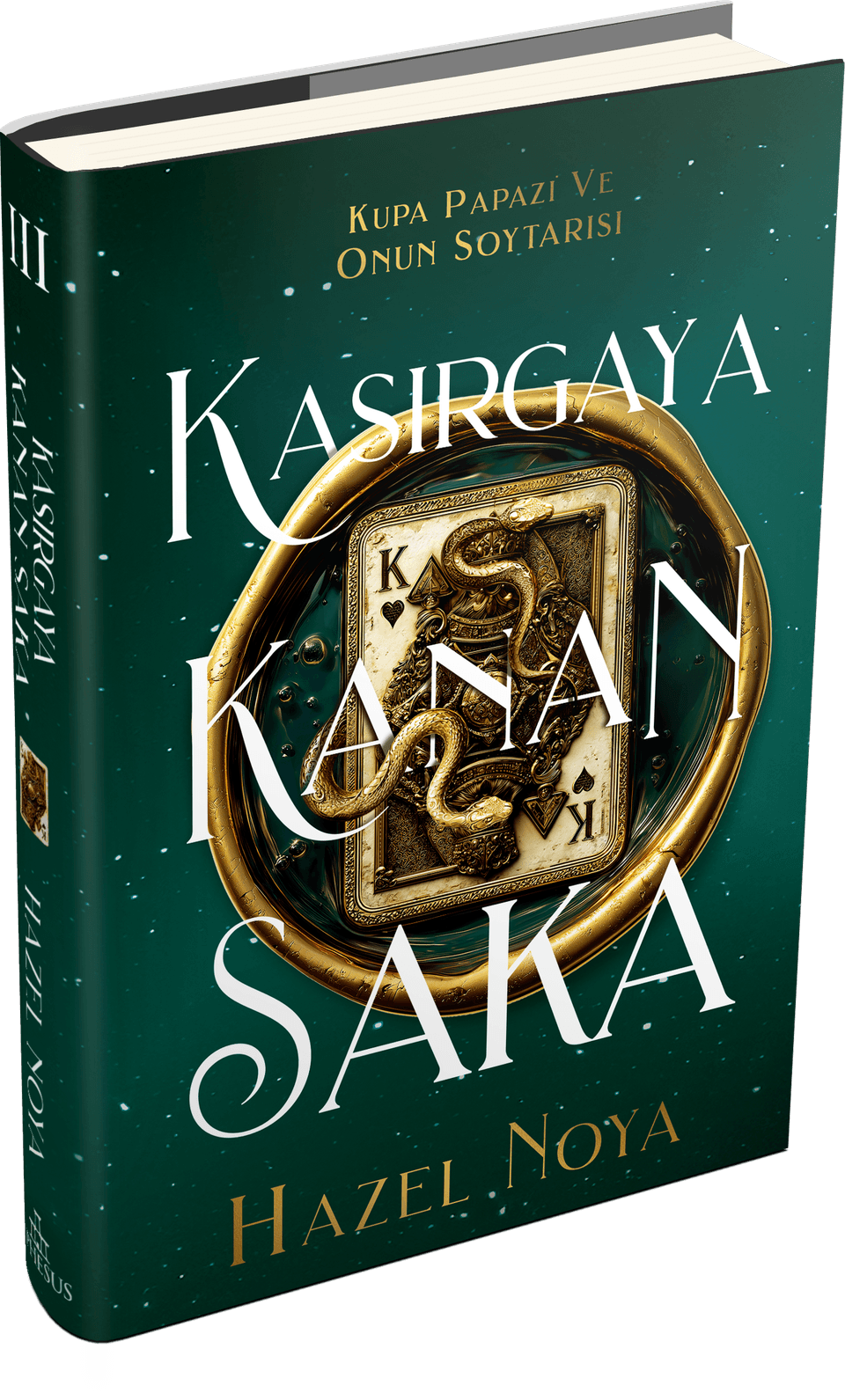 Kasırgaya Kanan Saka 3 - Ciltli - Ephesus Yayınları Kitap