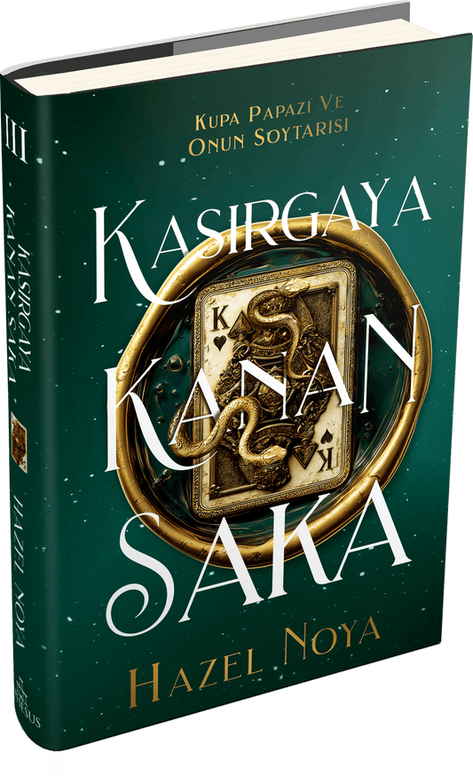 Kasırgaya Kanan Saka 3 - Ciltli - Ephesus Yayınları Kitap