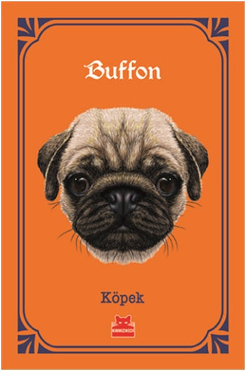 Köpek