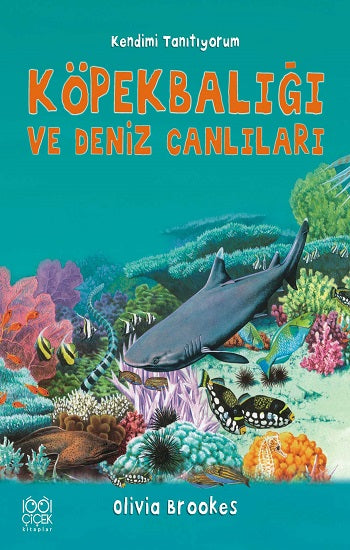 Köpekbalığı ve Deniz Canlıları - kendimi Tanıtıyorum