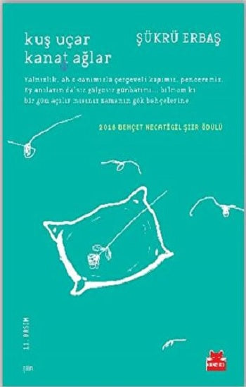 Kuş Uçar Kanat Ağlar