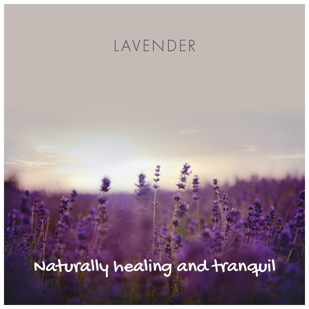 Lavender Natural Soap - mezetto Friendly Soap Friendly Soap