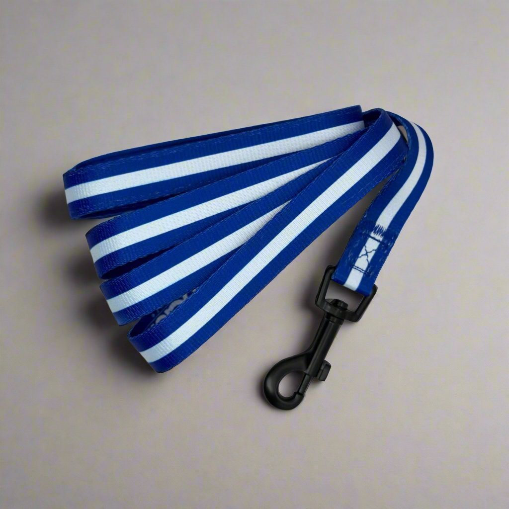 Lead - Royal Blue - mezetto PupClub Couture PupClub Couture