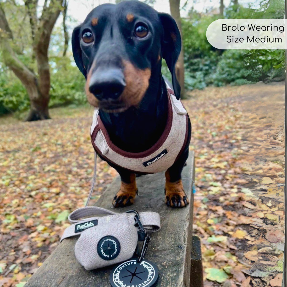 Lead - Tweed Brown - mezetto PupClub Couture PupClub Couture