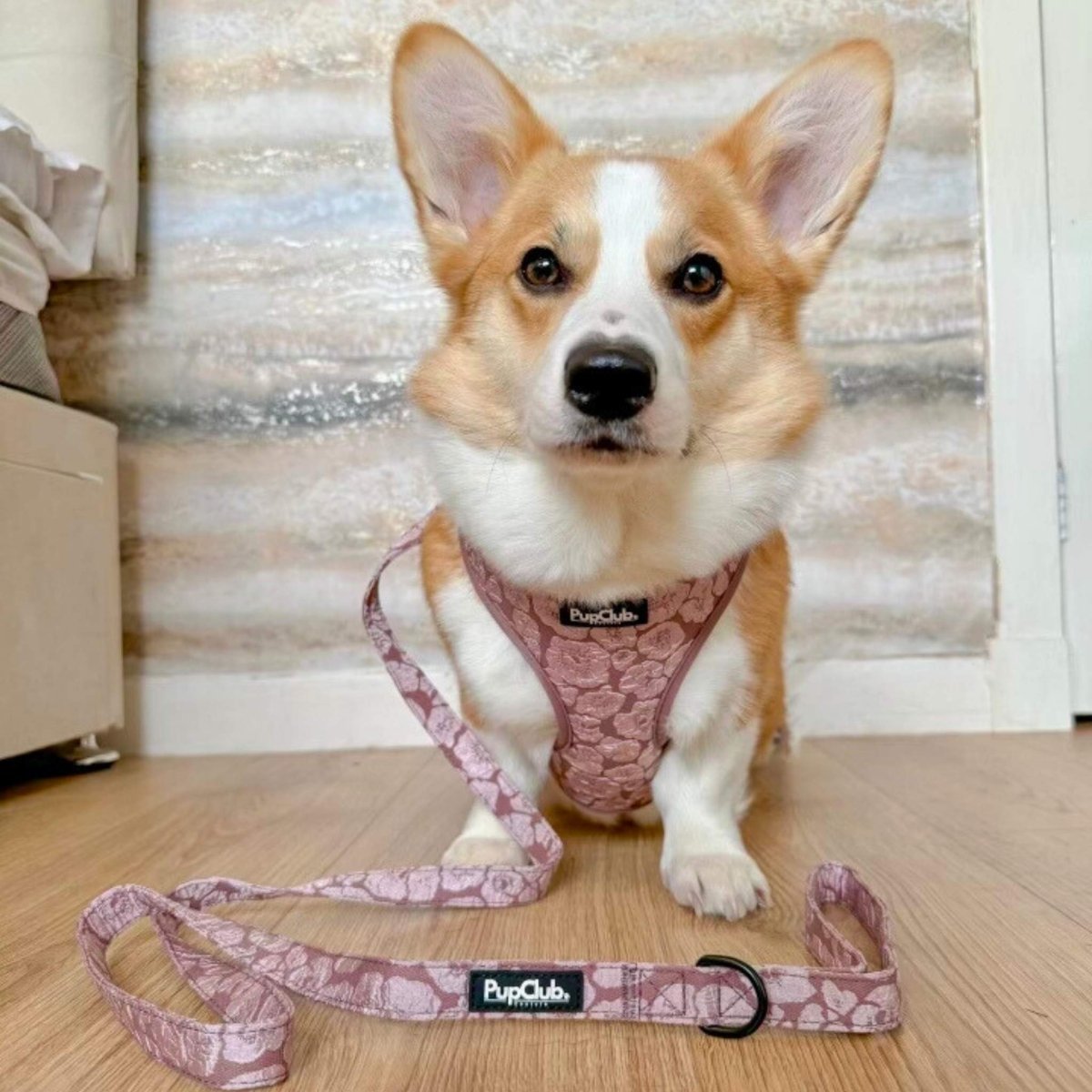 Luxe Adjustable Harness - Mocha Petals - mezetto PupClub Couture PupClub Couture