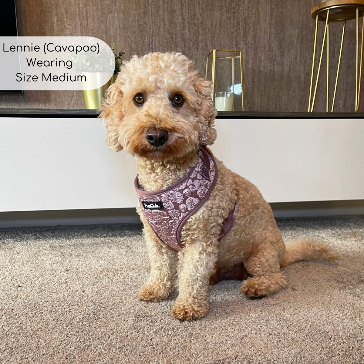 Luxe Adjustable Harness - Mocha Petals - mezetto PupClub Couture PupClub Couture