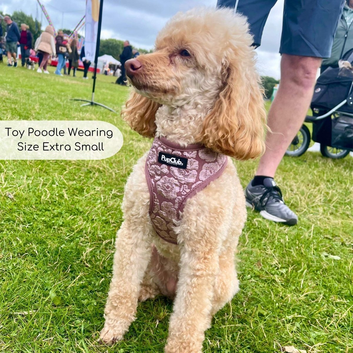 Luxe Adjustable Harness - Mocha Petals - mezetto PupClub Couture PupClub Couture