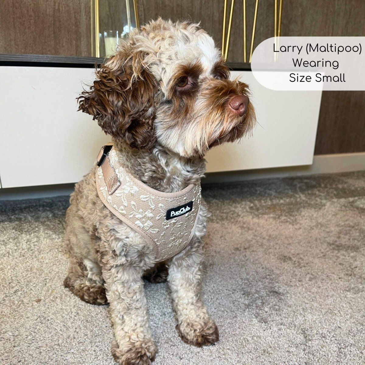 Luxe Adjustable Harness - Toffee Latte Petals - mezetto PupClub Couture PupClub Couture