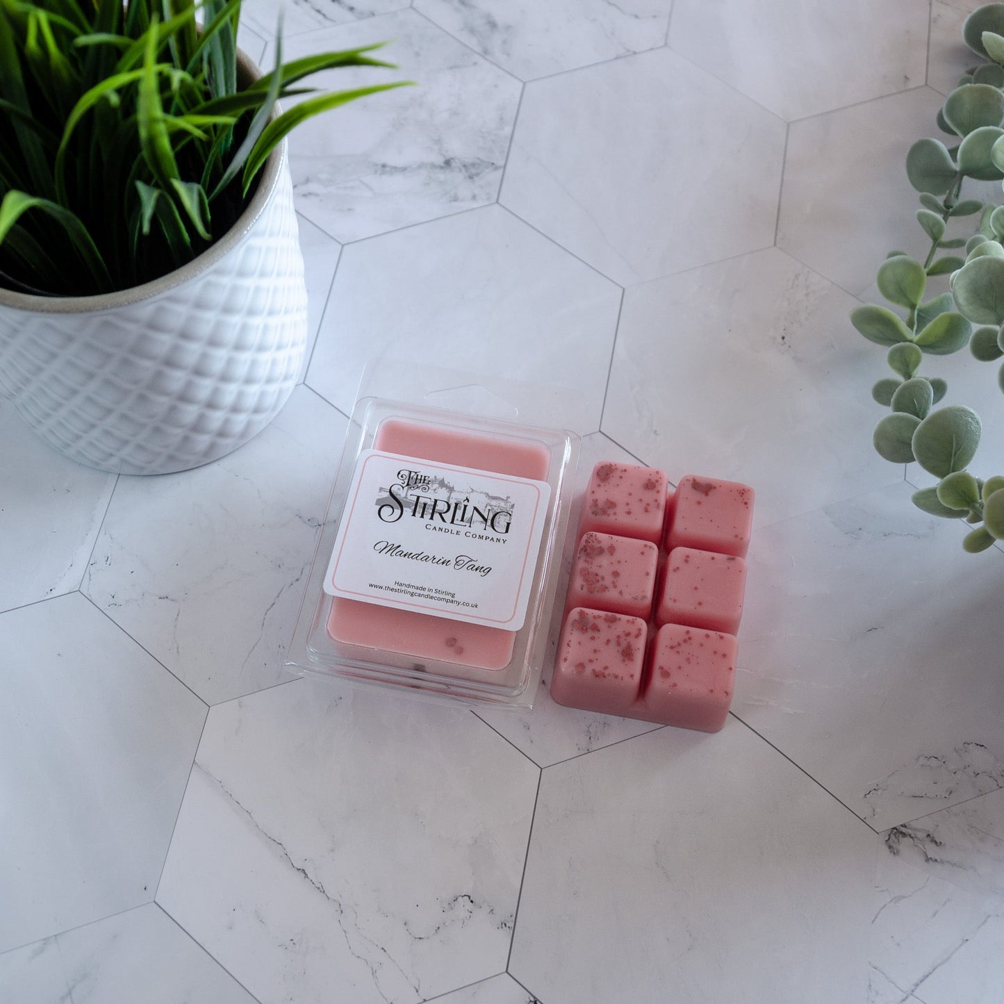 Mandarin Tang - Wax Melt Clamshell - mezetto Shopify Collective The Stirling Candle Company