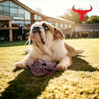 Buffalo Meat Jerky-Dog Treats-100g-2