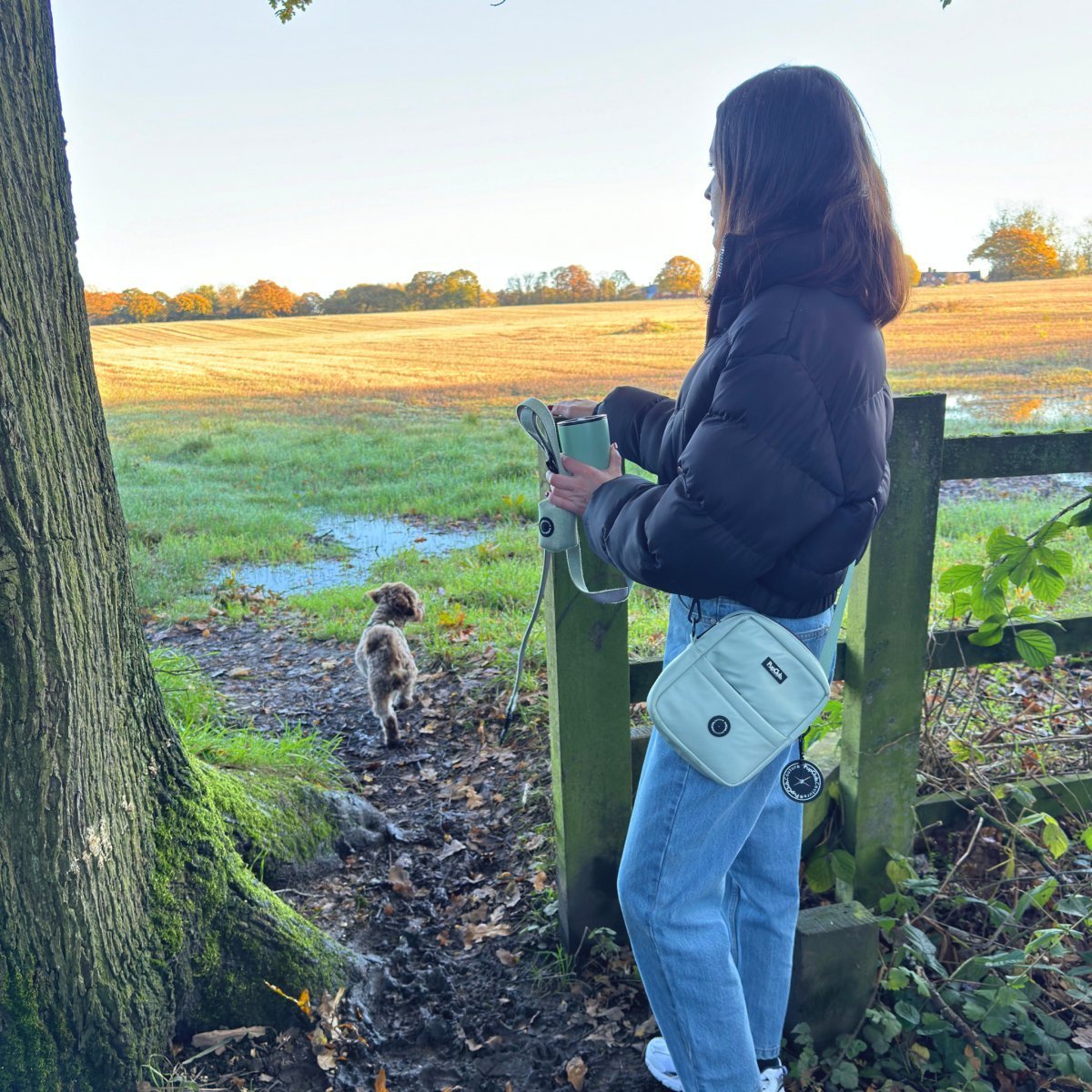 Mini Dog Walking Bag - Sage Green - mezetto PupClub Couture PupClub Couture