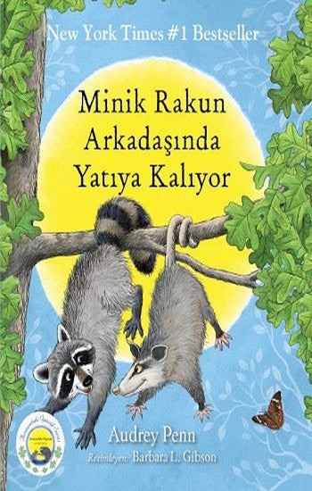 Minik Rakun Arkadaşında Yatıya Kaliyor