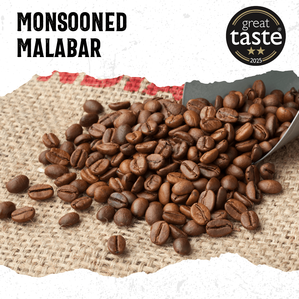 Monsooned Malabar Medium Roast - mezetto Acorns Coffee & Cake Acorns Coffee & Cake