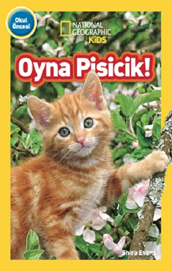 National Geographic Kids - Oyna Pisicik!