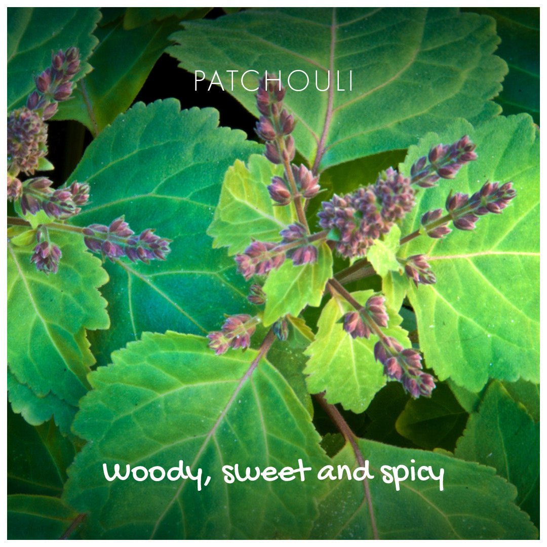 Natural Soap On A Rope - 'Woody' Patchouli & Sandalwood 125g - mezetto Friendly Soap Friendly Soap