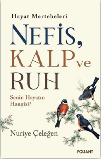 Nefis, Kalp ve Ruh