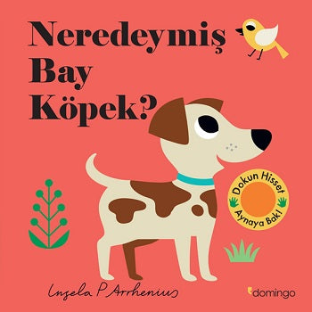 Bay Köpek neredeydi? (Çiltli)