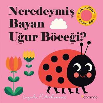Bayan Uğur Böceği neredeydi? (Çiltli)