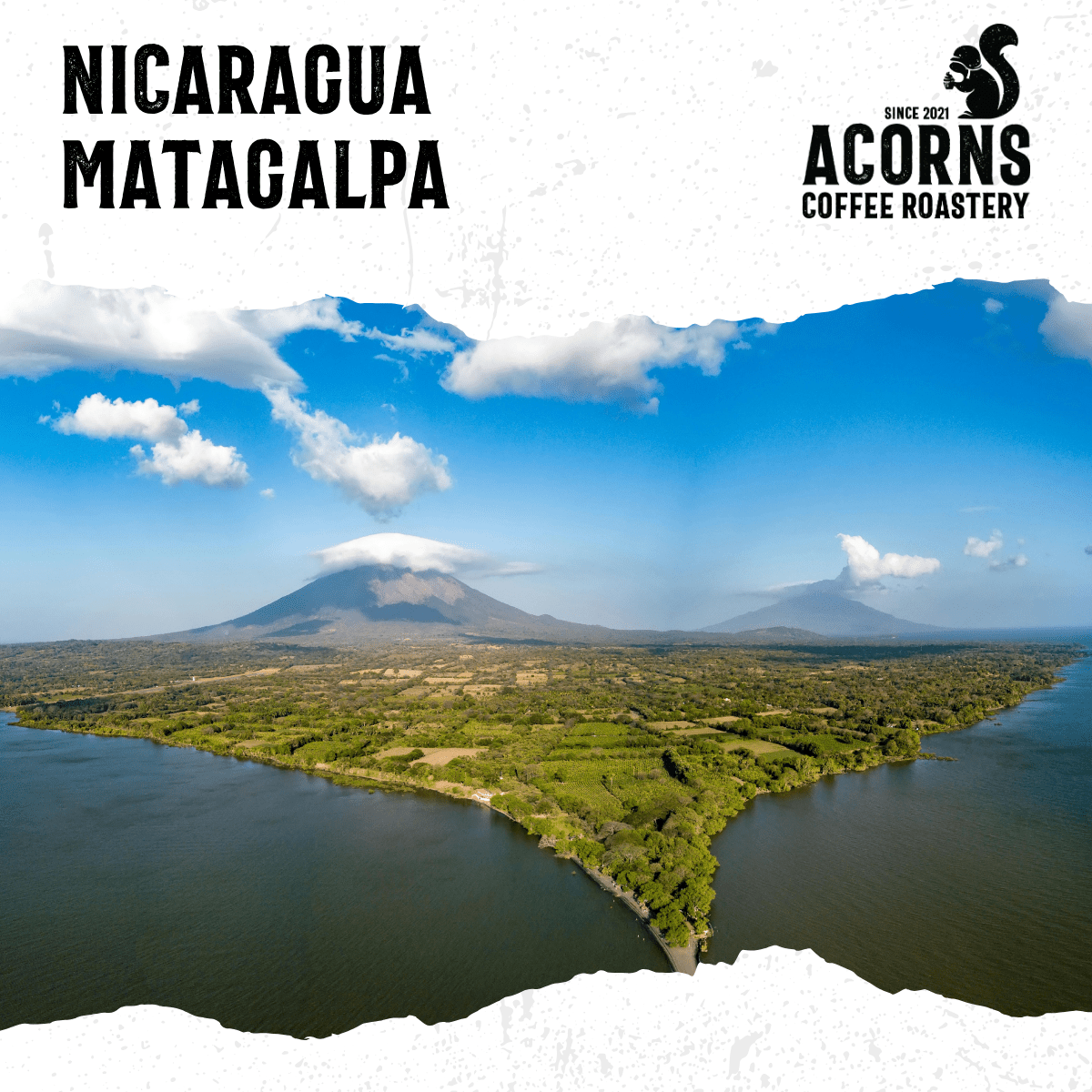 Nicaragua Matagalpa Medium Roast - mezetto Acorns Coffee & Cake Acorns Coffee & Cake