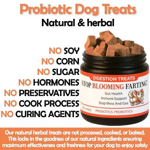 Probiotic dog treats for gas, mess, immunity, digestive health (natural herbal)