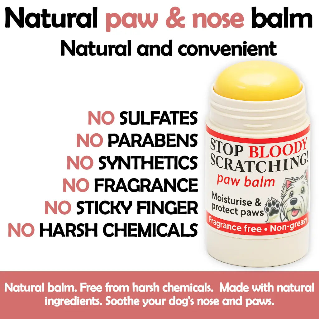 Paw & Nose Balm Stick for Dogs - 100% Natural Moisturiser for Paws | Like a Chap Stick for dogs