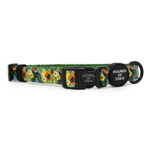 Pupaya Design Dog Collar