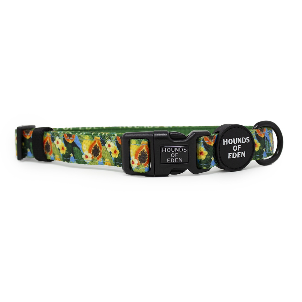 Pupaya Design Dog Harness