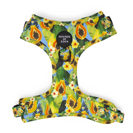 Pupaya Design Dog Harness