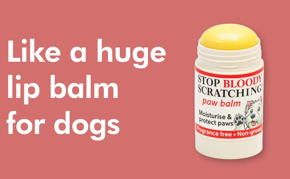 Paw & Nose Balm Stick for Dogs - 100% Natural Moisturiser for Paws | Like a Chap Stick for dogs