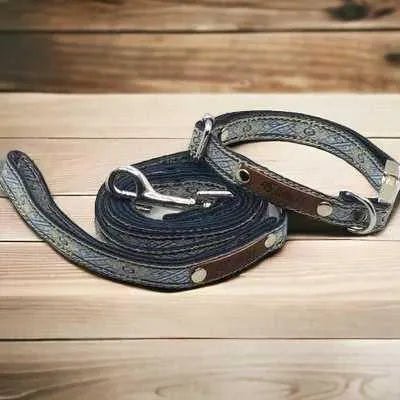 Petite Pooch Parade Designer Dog Collar Set - mezetto