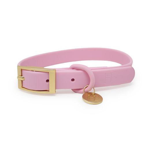 Candy floss Pink 'All Weather' Dog Collar