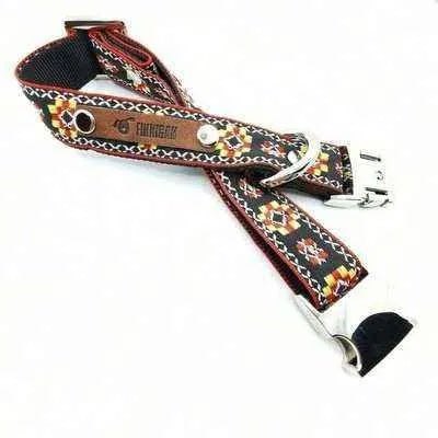 Regal Paws Stylish Pup Collar-2