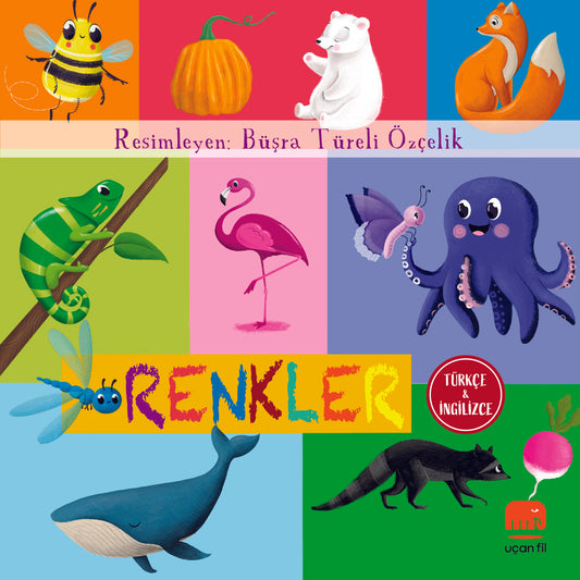 Renkler (Karton Kitap)