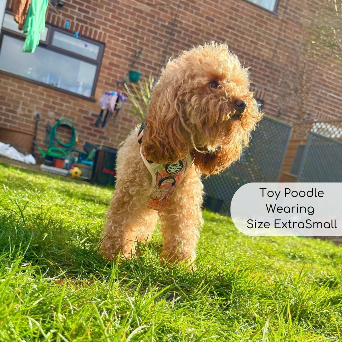 Rugged Rover™ Harness - Autumn Breeze - mezetto PupClub Couture PupClub Couture