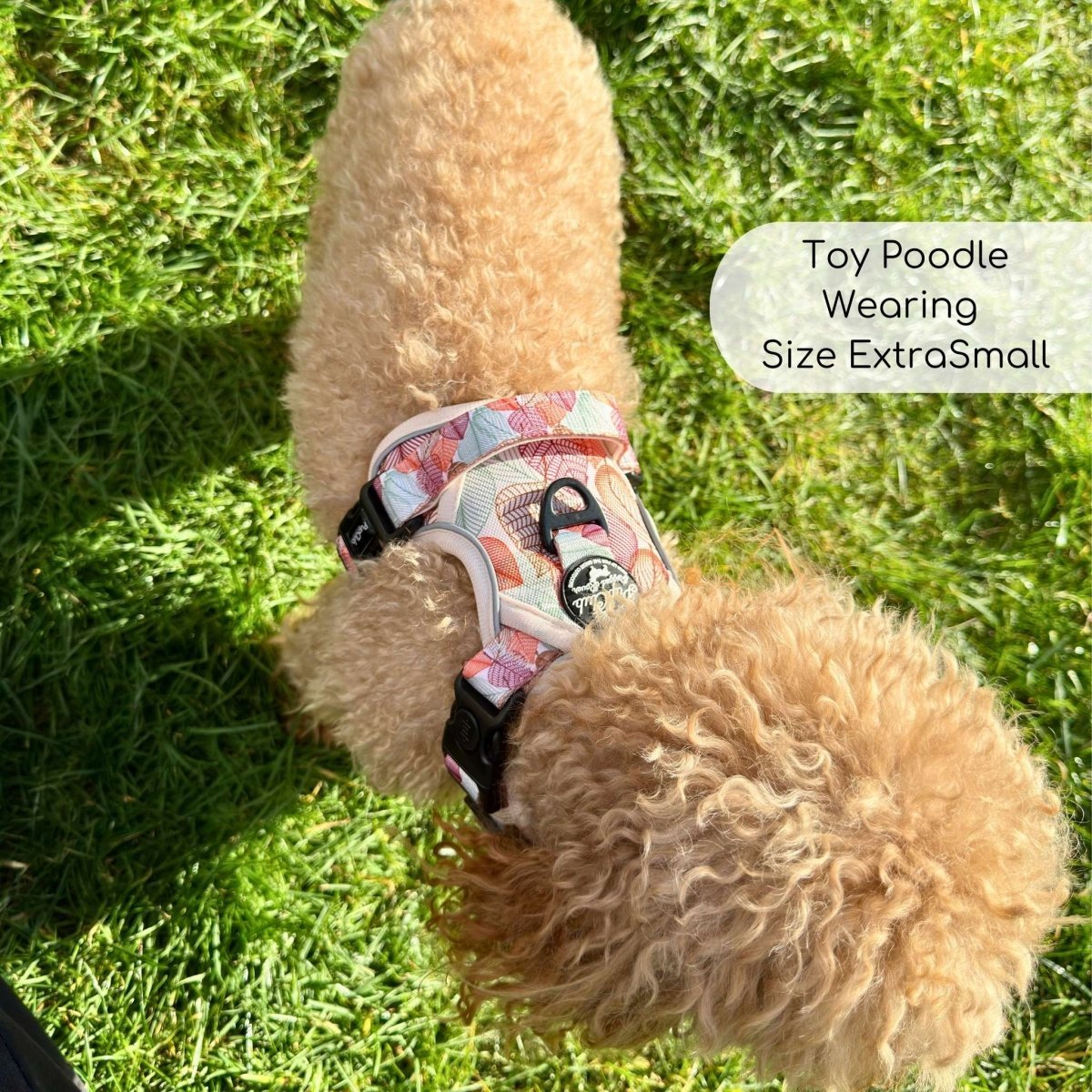 Rugged Rover™ Harness - Autumn Breeze - mezetto PupClub Couture PupClub Couture