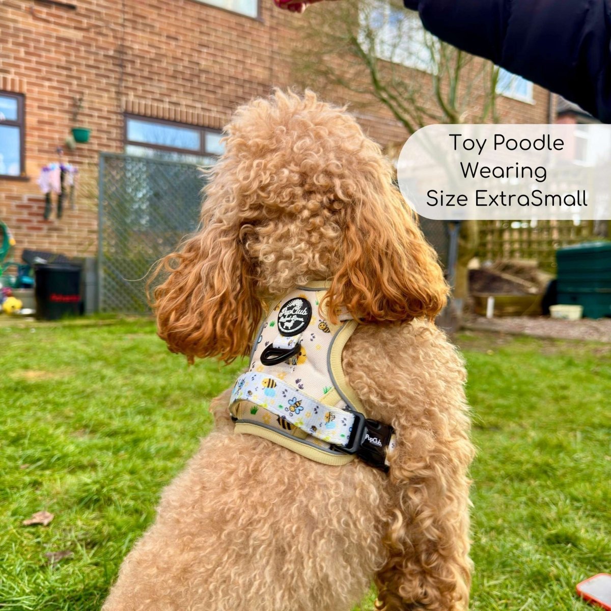 Rugged Rover™ Harness - Bee - utiful Summer - mezetto PupClub Couture PupClub Couture