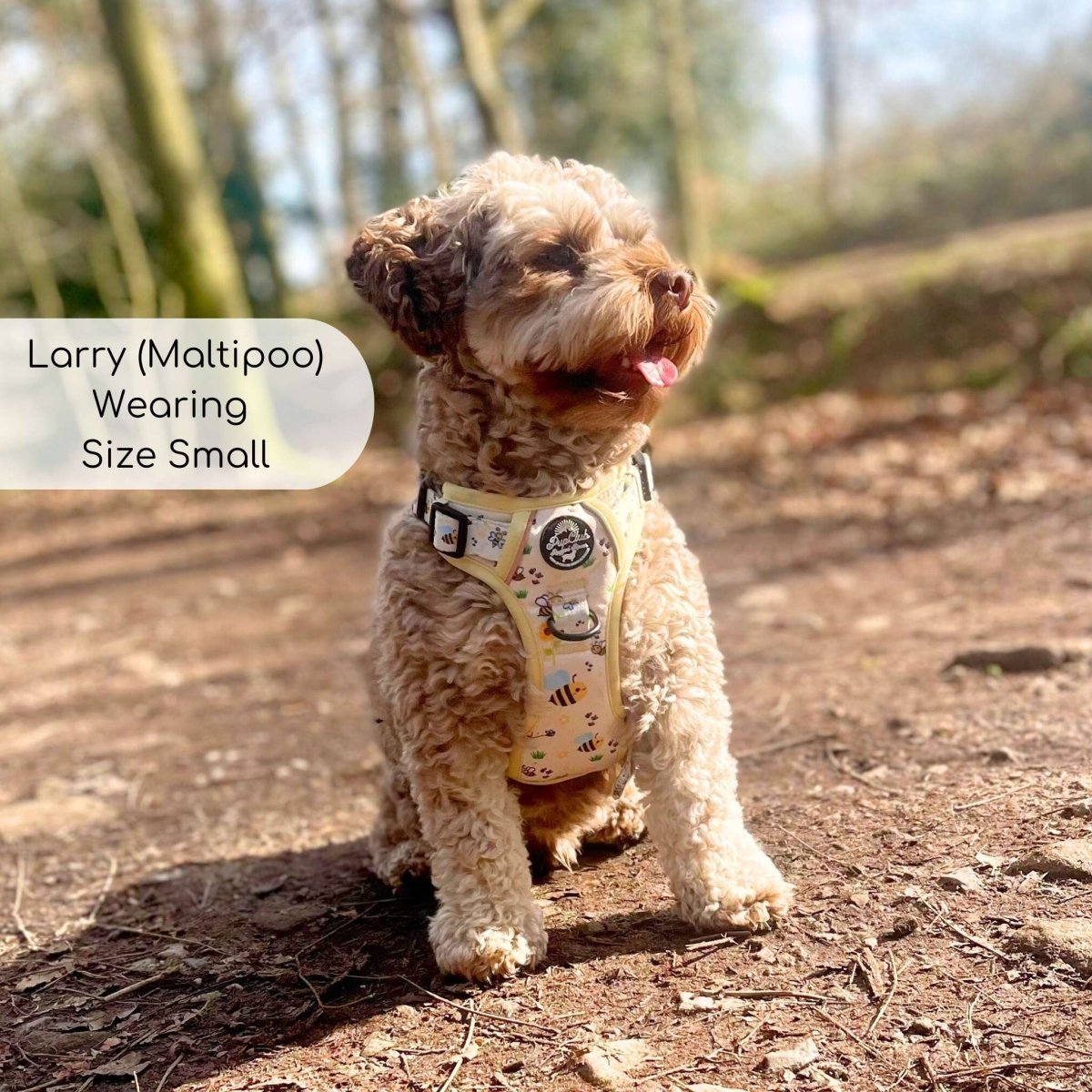 Rugged Rover™ Harness - Bee - utiful Summer - mezetto PupClub Couture PupClub Couture