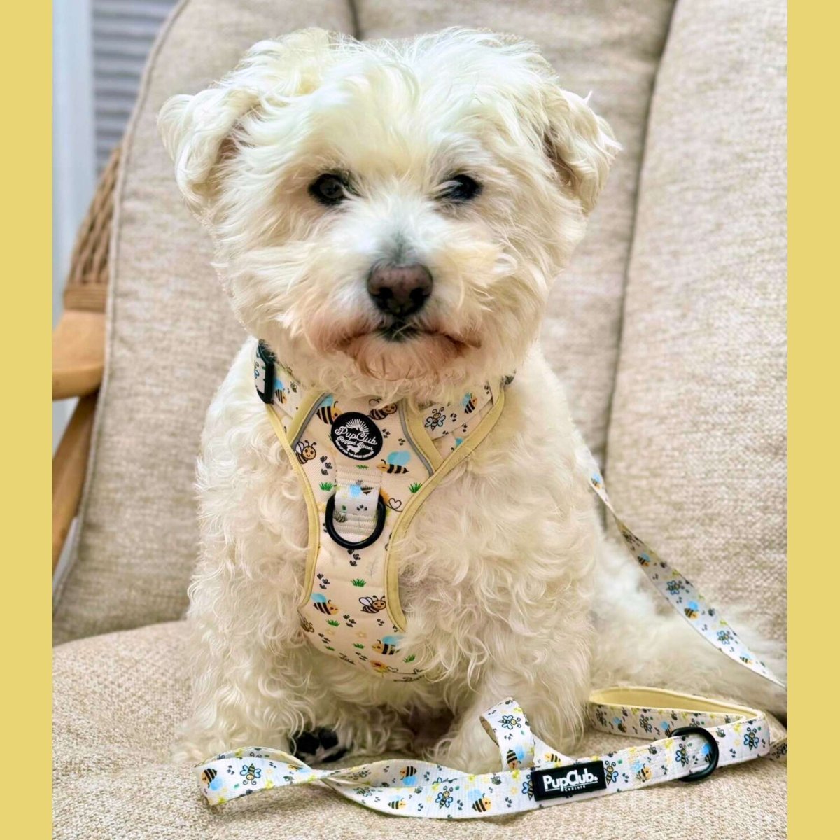 Rugged Rover™ Harness - Bee - utiful Summer - mezetto PupClub Couture PupClub Couture