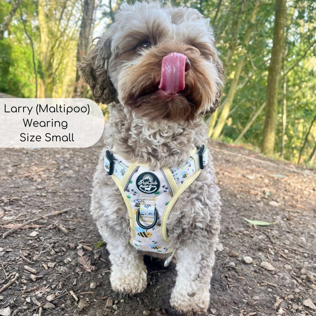 Rugged Rover™ Harness - Bee - utiful Summer - mezetto PupClub Couture PupClub Couture